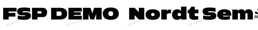 FSP DEMO   Nordt Sem字体转换